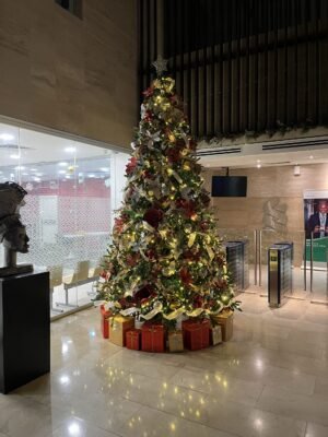 IMG_7132 12ft Traditional Green Christmas tree with gold, red and touch of silver ornaments
