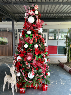 PhotoGrid_1699616717949 10ft Traditional Green Christmas tree with red and white ornaments